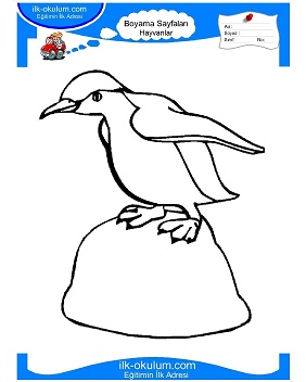 Çocuklar İçin Penguen Boyama Sayfaları 
